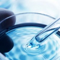 Tocobiol С / Токобиол  натуральный антиоксидант