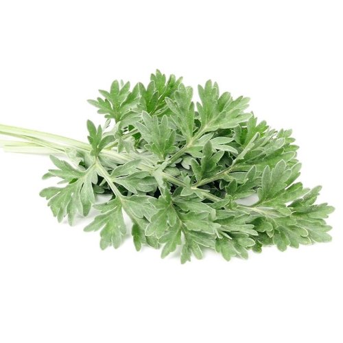 Гидролат Полыни  